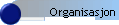 Organisasjon
